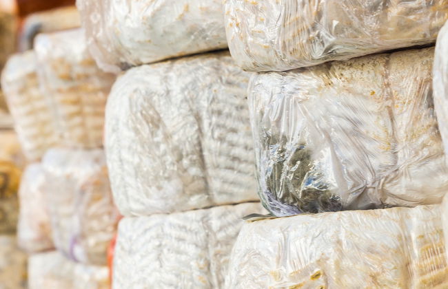 Visite d'une fromagerie + Atelier de fabrication de fromage de chèvre - Photo 3
