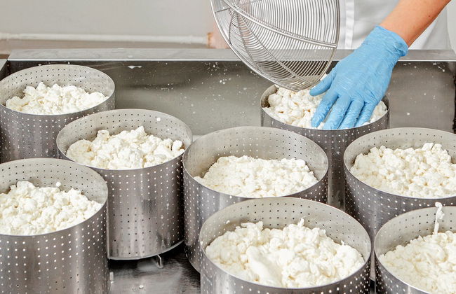 Visita a una quesería + Taller de queso de cabra - Photo 6