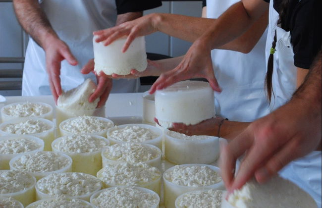 Visite d'une fromagerie + Atelier de fabrication de fromage de chèvre - Photo 2