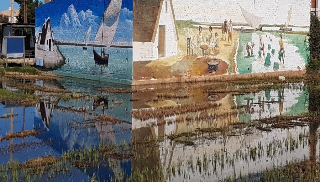 Tour di Valencia e dell'Albufera + Risaie - Foto 1
