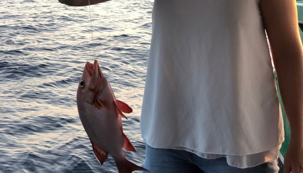 Dhiffushi Night Fishing - Foto 3