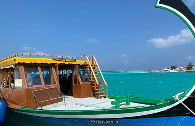Avistamiento de delfines en Dhiffushi - Foto 2