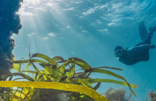 Snorkelling in Foz - Photo 8