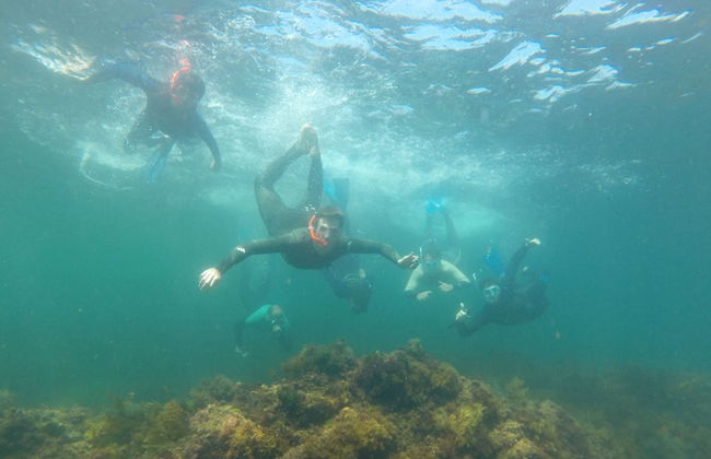 Snorkelling in Foz - Photo 3