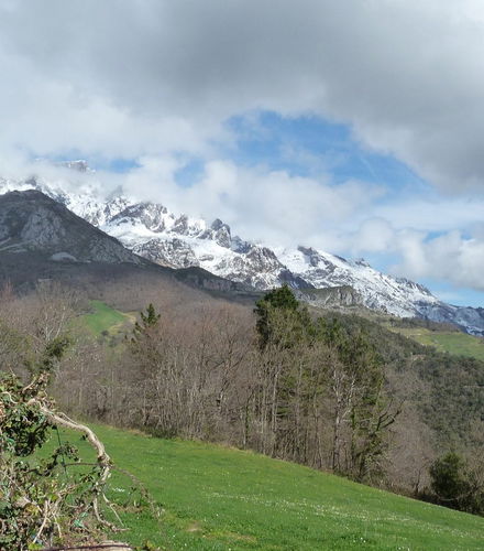 Foto de Ruta de peregrinación al Monasterio de Liébana