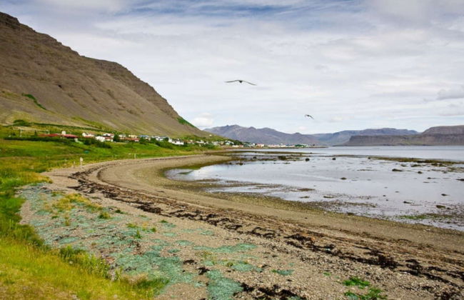 Excursión a Dynjandi, Arnarfjördur y Bíldudalur - Foto 3
