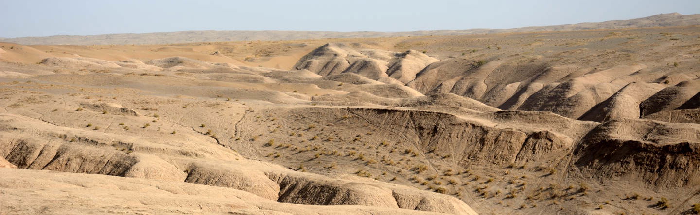 Safari privato nel deserto del Maranjab - Foto 1