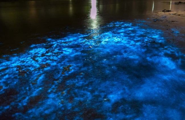 Maya Bay Sunset Cruise - Photo 1