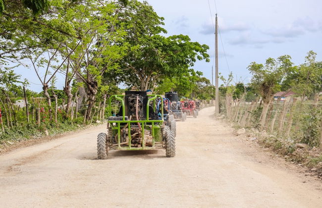 Sugar Field Buggy or Quad Bike Tour - Photo 4