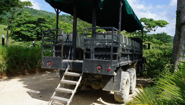 Sugar Field Buggy or Quad Bike Tour - Photo 3