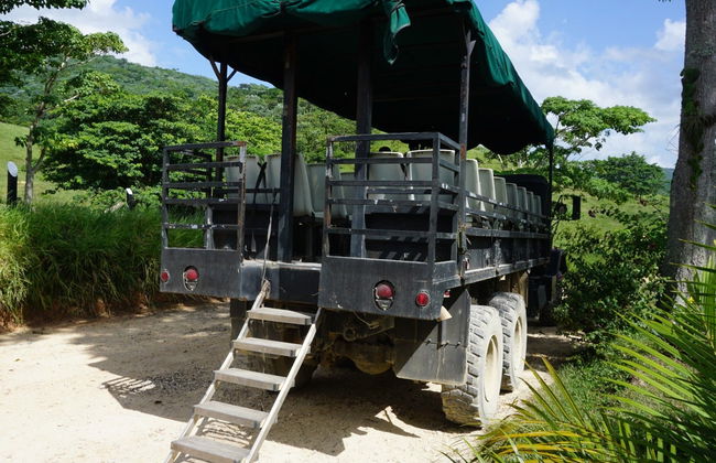Sugar Field Buggy or Quad Bike Tour - Photo 3