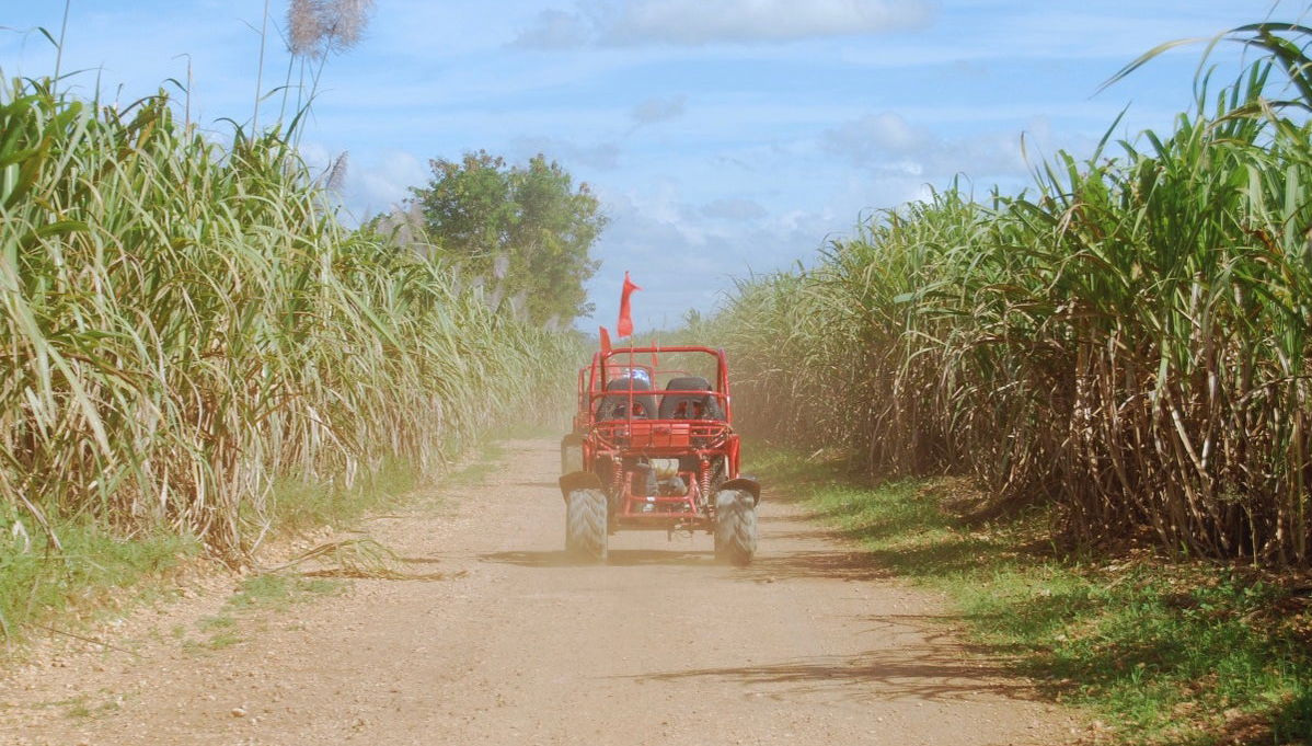 Sugar Field Buggy or Quad Bike Tour - Photo 1