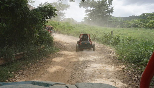 Sugar Field Buggy or Quad Bike Tour - Photo 5