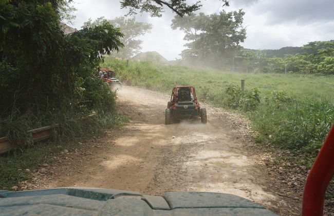 Sugar Field Buggy or Quad Bike Tour - Photo 5