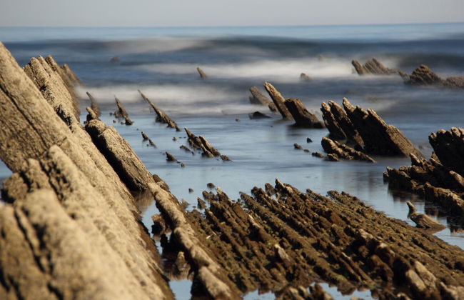 Zumaia Flysch Boat Tour - Foto 6