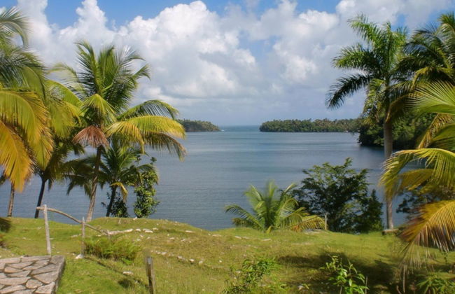 Alejandro de Humboldt National Park Trip - Foto 2