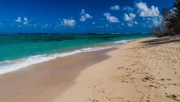 Alejandro de Humboldt National Park Trip - Foto 3