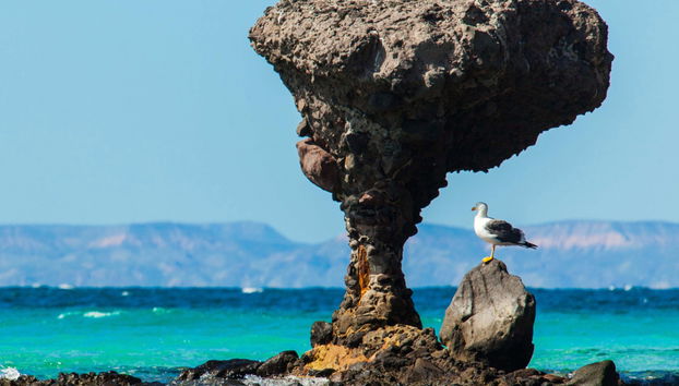 Tour por La Paz y la playa Balandra - Foto 2