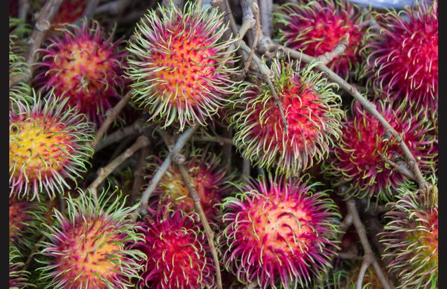 Private Zanzibar Spices Tour - Photo 2