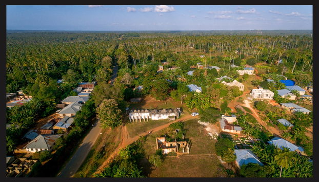 Private Zanzibar Spices Tour - Foto 4