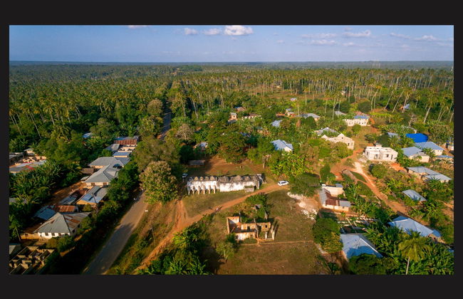 Private Zanzibar Spices Tour - Photo 4