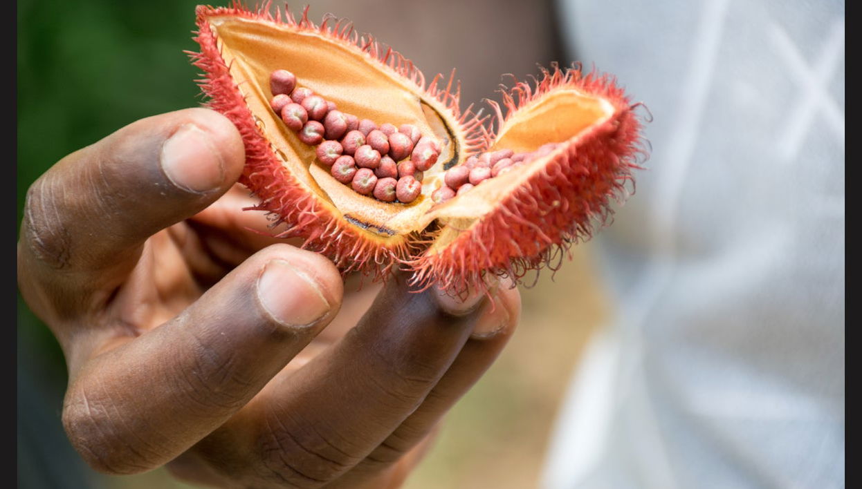 Private Zanzibar Spices Tour - Foto 1