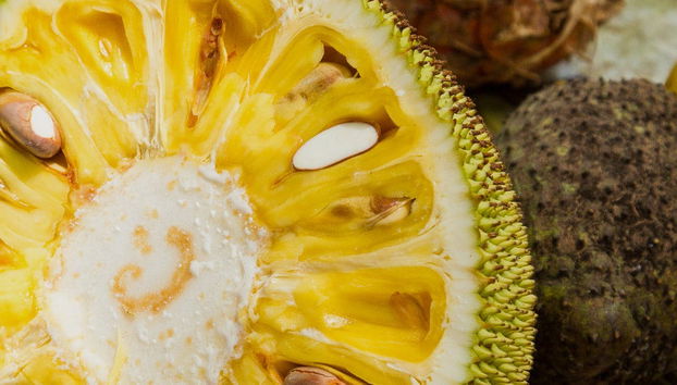 Private Zanzibar Spices Tour - Foto 5