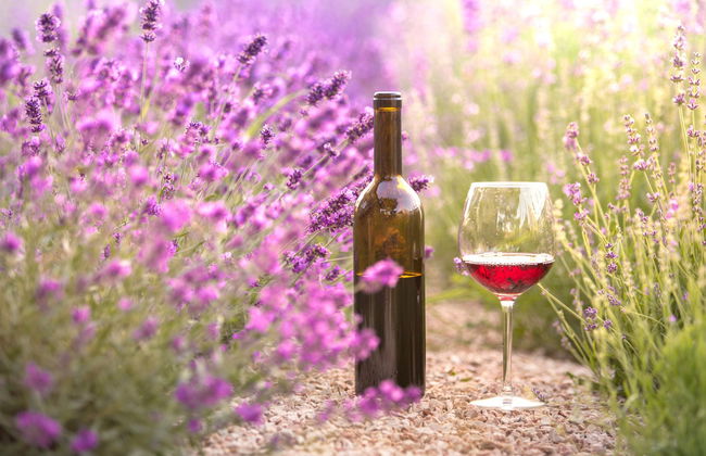 Tour privato dei vigneti e dei campi di lavanda in sidecar - Foto 7