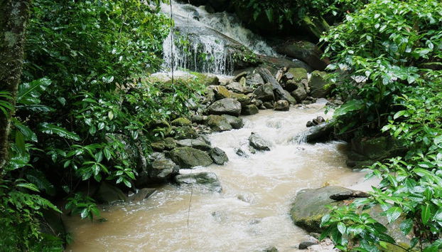 Excursão à Catarata de Ahuashiyacu - Foto 5