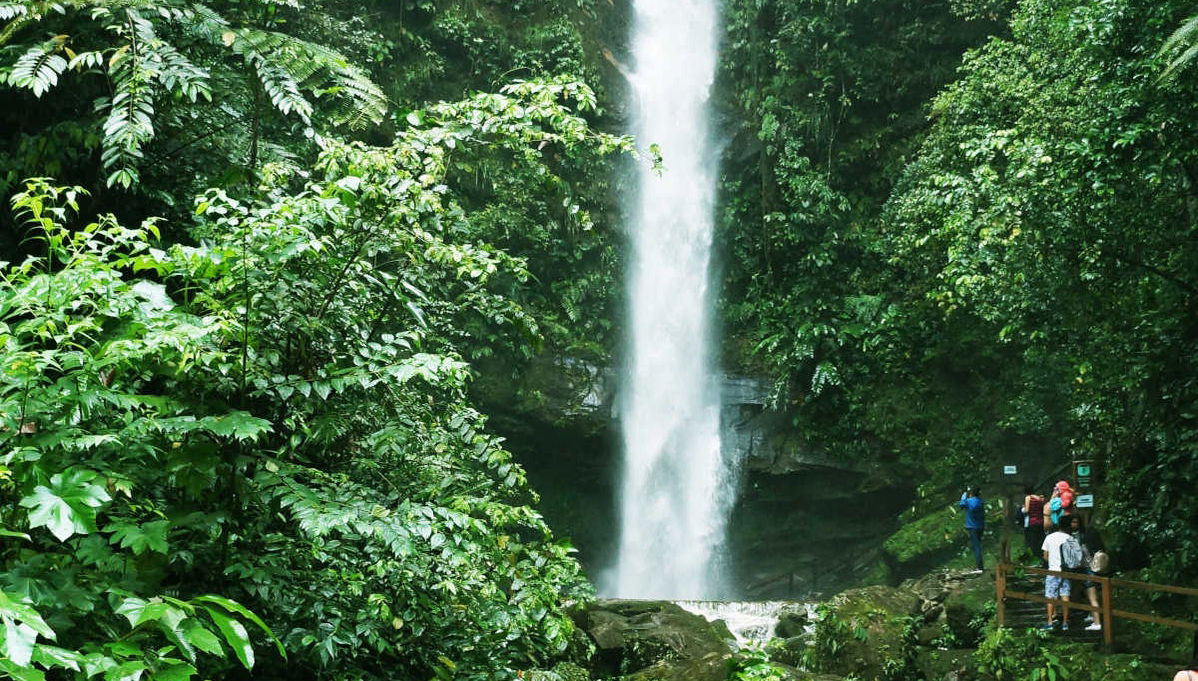 Excursão à Catarata de Ahuashiyacu - Foto 1