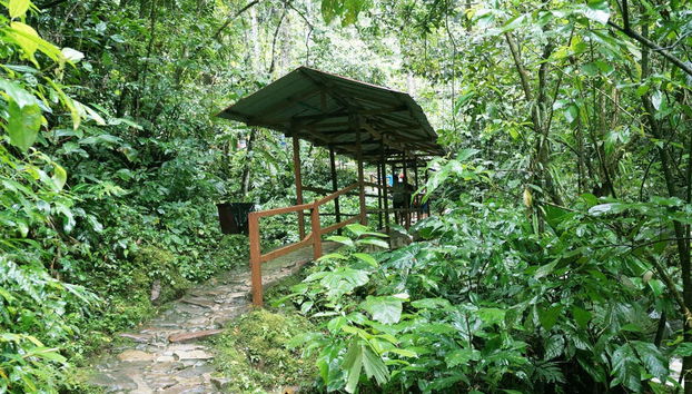 Excursão à Catarata de Ahuashiyacu - Foto 2