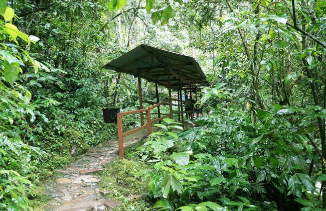 Excursão à Catarata de Ahuashiyacu - Foto 2