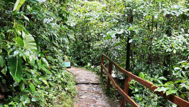 Excursão à Catarata de Ahuashiyacu - Foto 4