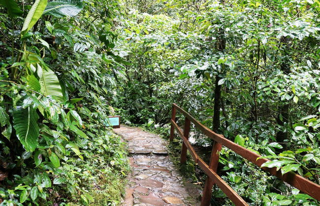 Excursão à Catarata de Ahuashiyacu - Foto 4