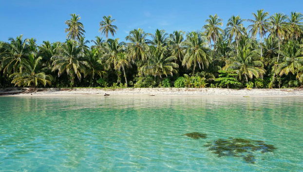 Zapatilla Island & Coral Cay Tour - Foto 3