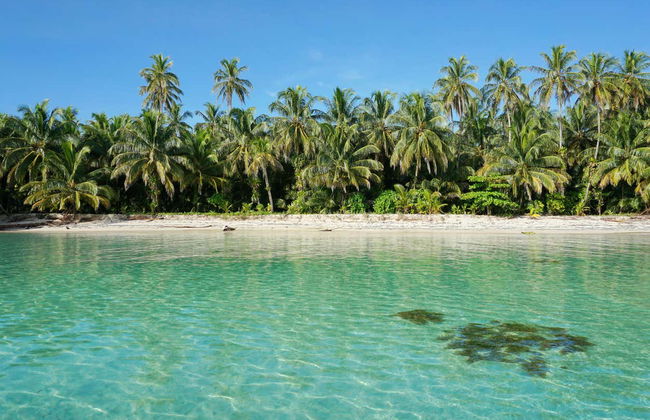 Zapatilla Island & Coral Cay Tour - Foto 3