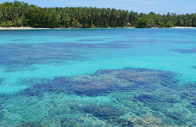 Zapatilla Island & Coral Cay Tour - Foto 8