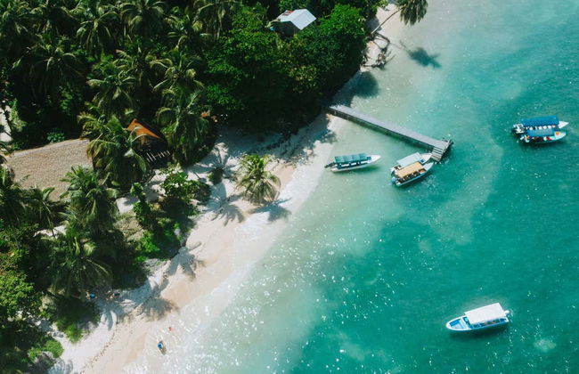 Zapatilla Island & Coral Cay Tour - Foto 6