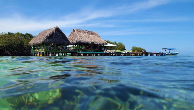 Zapatilla Island & Coral Cay Tour - Foto 2