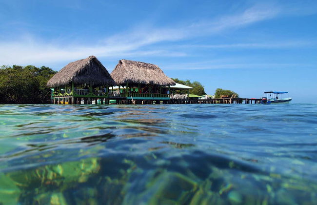 Zapatilla Island & Coral Cay Tour - Foto 2