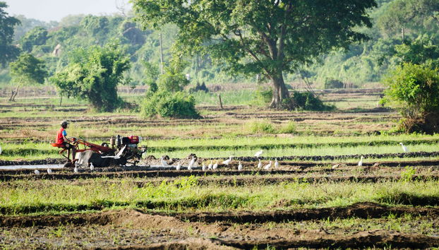 Habarana Excursion - Foto 2