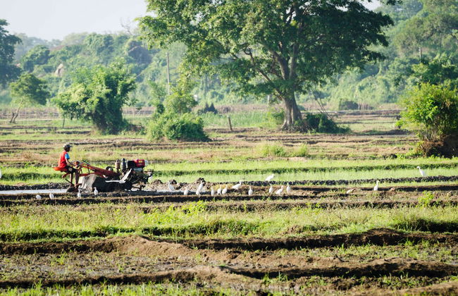 Habarana Excursion - Foto 2