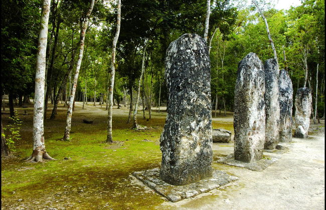 Excursión a Calakmul y Balamkú - Foto 3