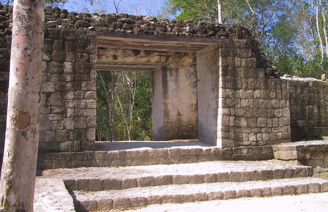 Excursión a Calakmul y Balamkú - Foto 7
