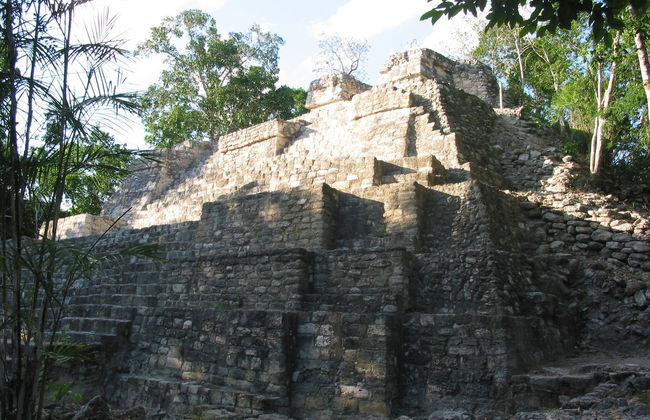 Excursión a Calakmul y Balamkú - Foto 4
