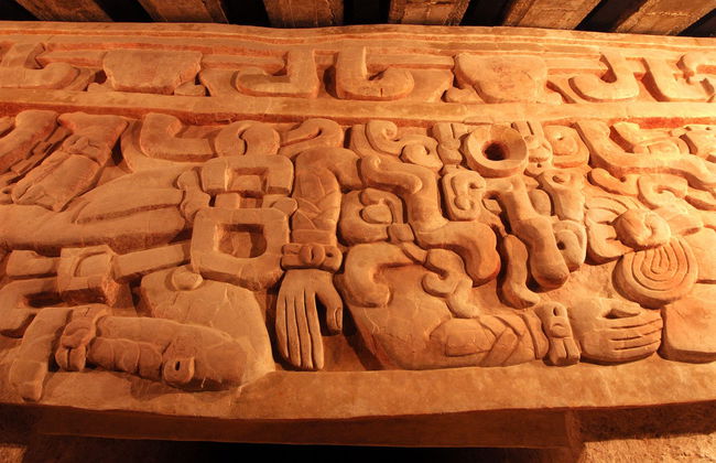 Excursión a Calakmul y Balamkú - Foto 6