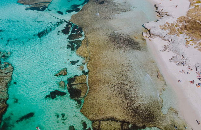 Hidroavión a la isla de Rottnest - Foto 5