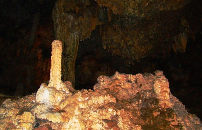 Excursión al Parque Ecoturístico Rancho Nuevo y El Arcotete - Foto 2