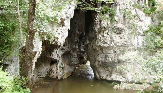 Escursione al Parque Ecoturístico Rancho Nuevo e a El Arcotete - Foto 2