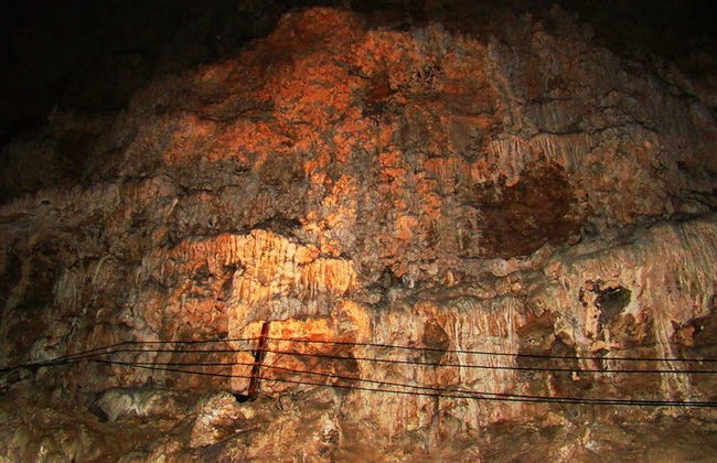 Excursión al Parque Ecoturístico Rancho Nuevo y El Arcotete - Foto 5